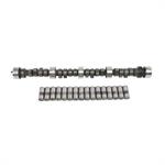 Camshaft, Hydraulic Flat Tappet, Advertised Duration 284/284, Lift .480/.480, Chrysler, Small Block, Each